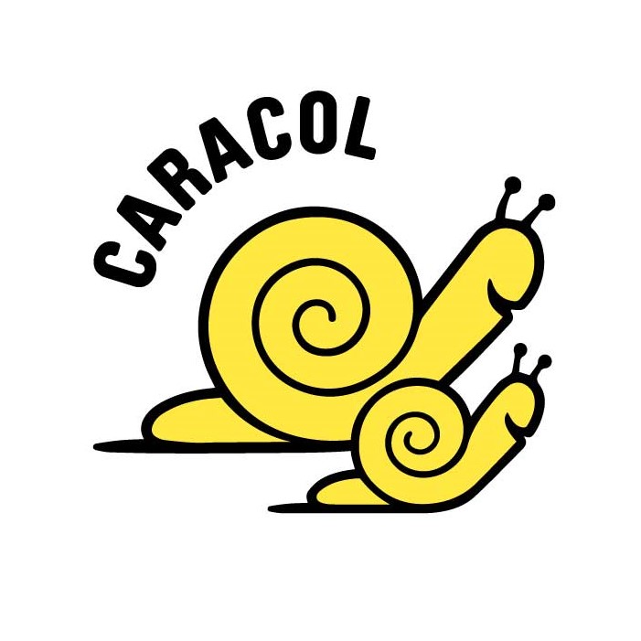 Caracol Logo-weiss Accounts.jpg