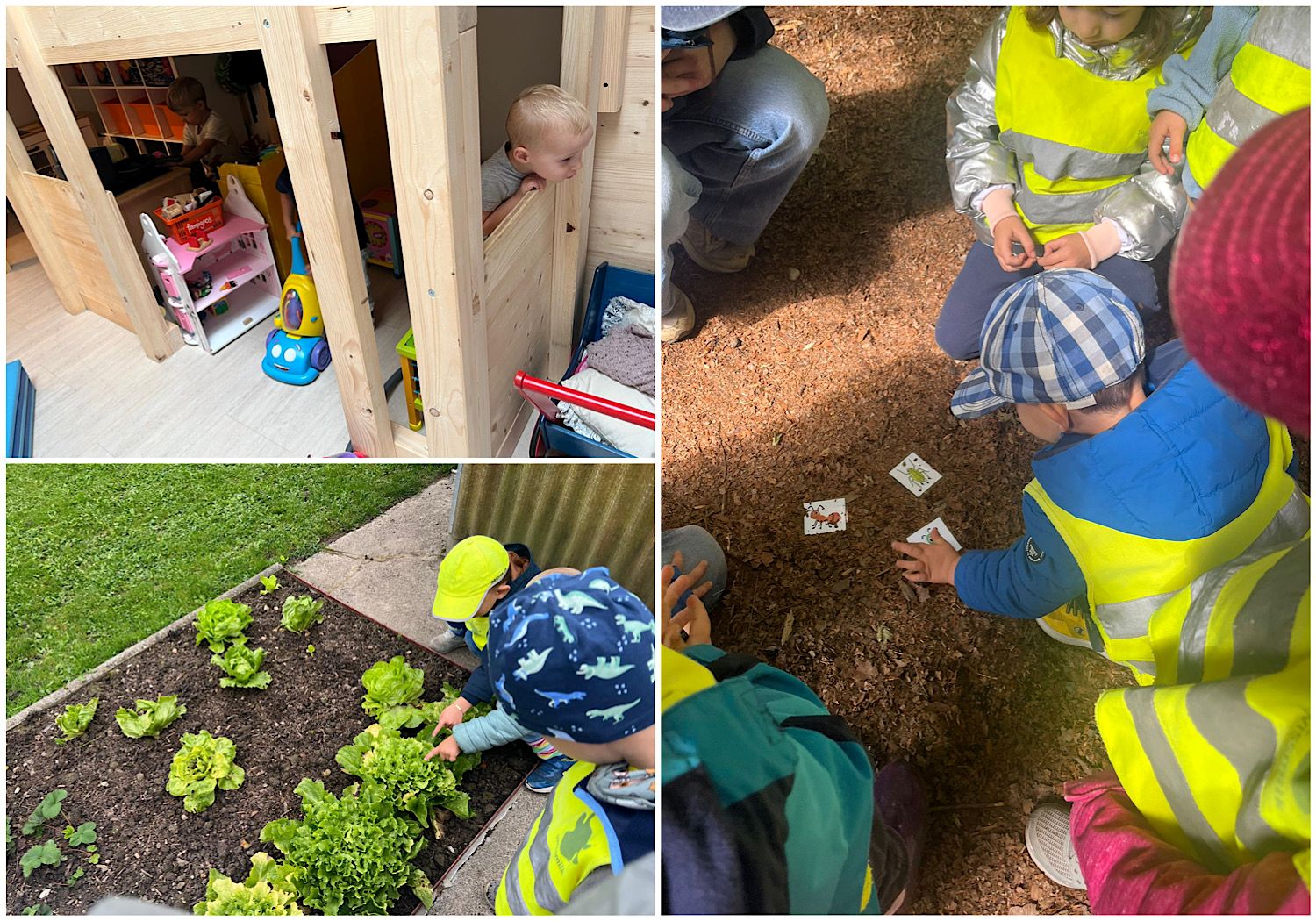 KiTa Buntspecht Dierikon.jpg